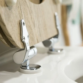 Tiger WC Bril Steigerhout Met Softclose - Afbeelding 3